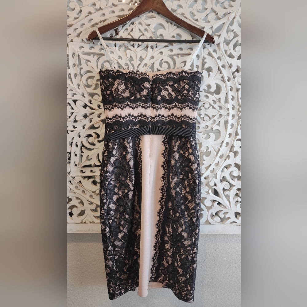 TADASHI SHOJI SHEATH LACE STRAPLE DRESS BLACK & NUDE TONE SIZE 2 - Picture 4 of 13